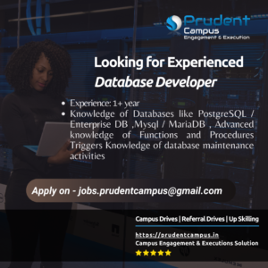Database Developer