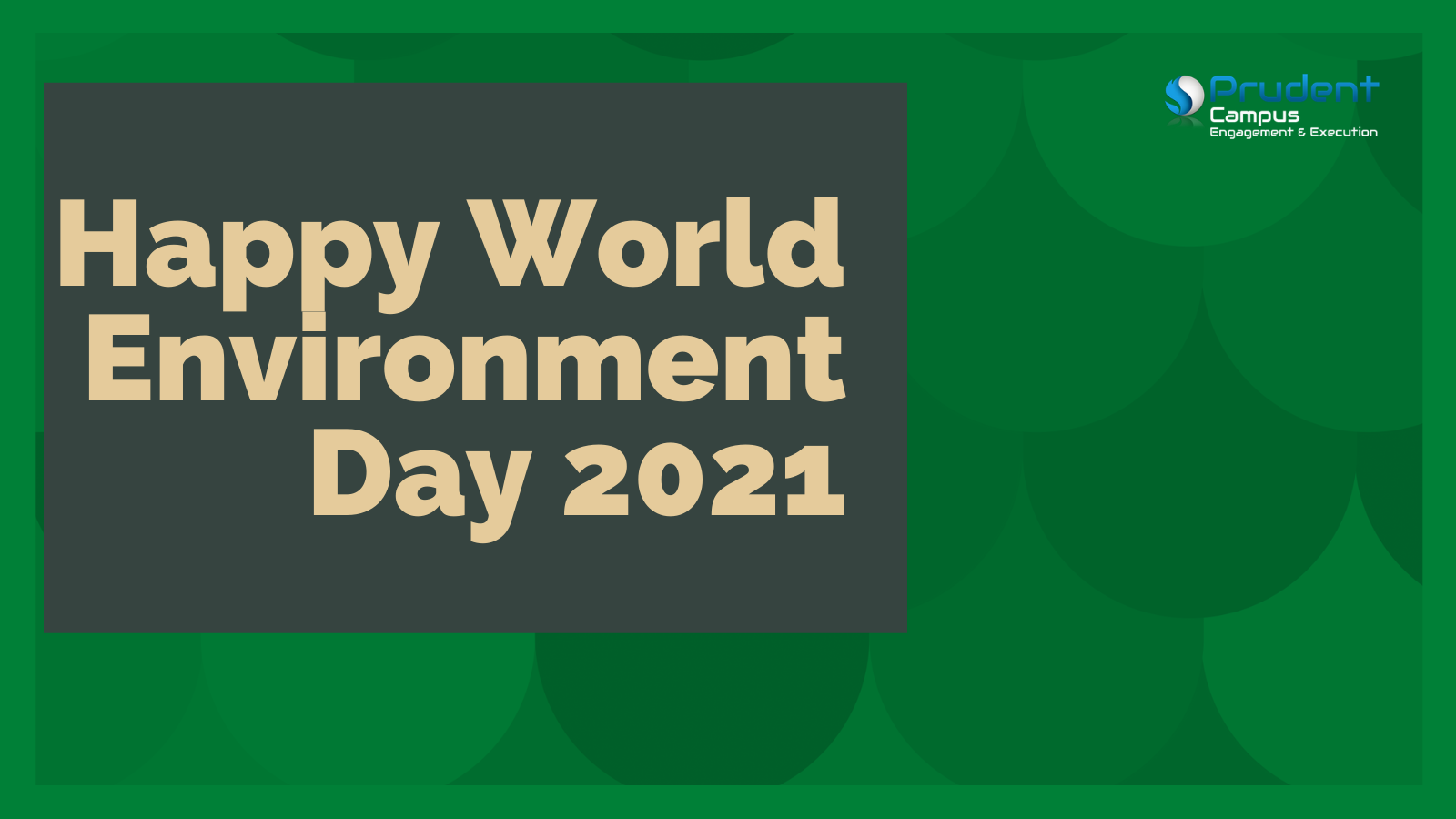 On World Environment Day - Tips to Make Pune Greener